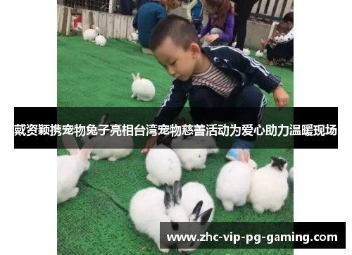 戴资颖携宠物兔子亮相台湾宠物慈善活动为爱心助力温暖现场 戴资颖携宠物兔子亮相台湾宠物慈善活动为爱心助力温暖现场