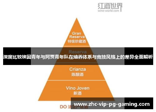 深度比较埃因青年与阿贾青年队在培养体系与竞技风格上的差异全面解析 深度比较埃因青年与阿贾青年队在培养体系与竞技风格上的差异全面解析